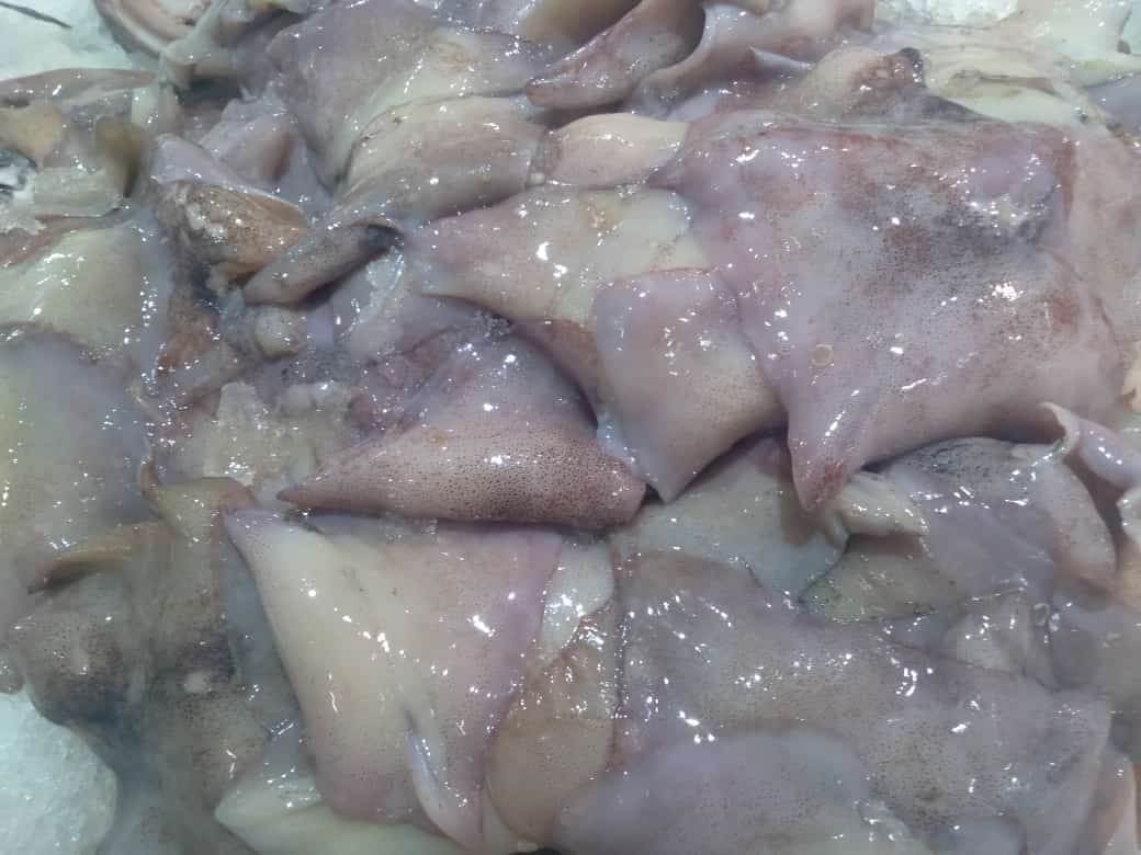 ALETAS DE CALAMAR x KG